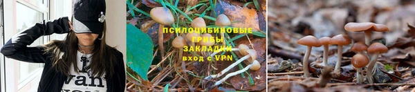синтетический гашиш Арсеньев