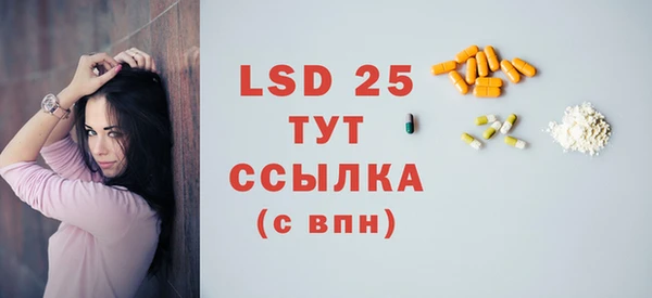 ECSTASY Богданович