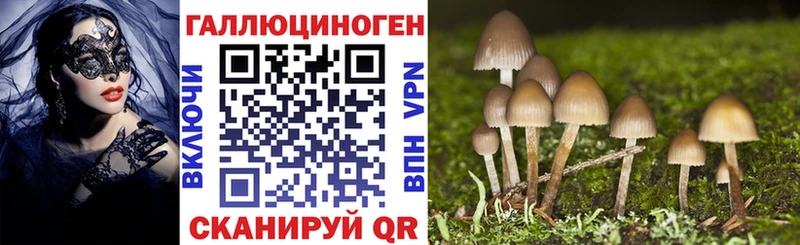 купить закладку  Кировск  площадка официальный сайт  Псилоцибиновые грибы GOLDEN TEACHER 