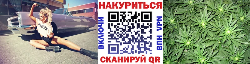 Конопля сатива  что такое   гидра вход  Кировск 